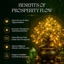 Prosperity Flow Subscription - Unlocking Abundance + Wealth & Opportunity Circle
